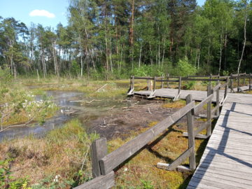 sciezka-przyrodnicza